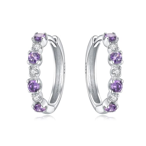 Earrings for Women 925 Sterling Silver Hoop Earring Colorful Cute Fashion Hoop Earrings Graduation Birthday Jewelry Gifts for Women - color: Rhinestone Earrings - Purple