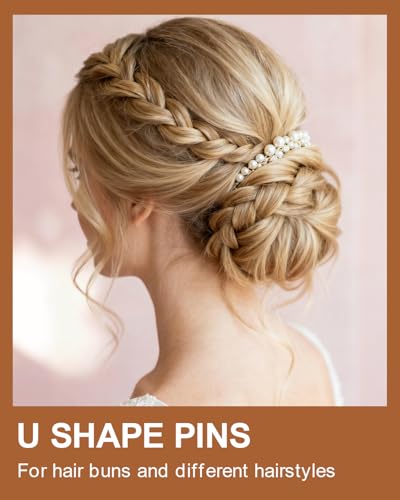 MAORULU Hair Bobby Pins with Cute Case, 250 CT Hair Pins for Buns, Premium U Hair Accessories for Women, Girls and Kids, Great for All Hair Types (Variety U & Bobby Pins Black) - color: Variety U & Bobby Pins Black