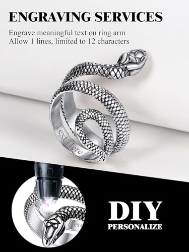 Stainless Steel/18K Gold Plated/Black Snake Ring for Men Women Size 7-12 Serpent Reptile Rings Punk Gothic Jewelry(with Gift Box) - color: 04-Steel-Personalized