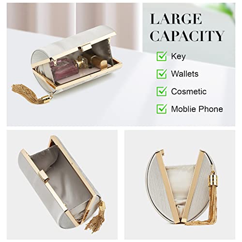 Women Clutch Bag Evening bag Fringed Evening Handbag,Lady Party Wedding Clutch Purse Chain Shoulder Cross Body Bag - color: Silver