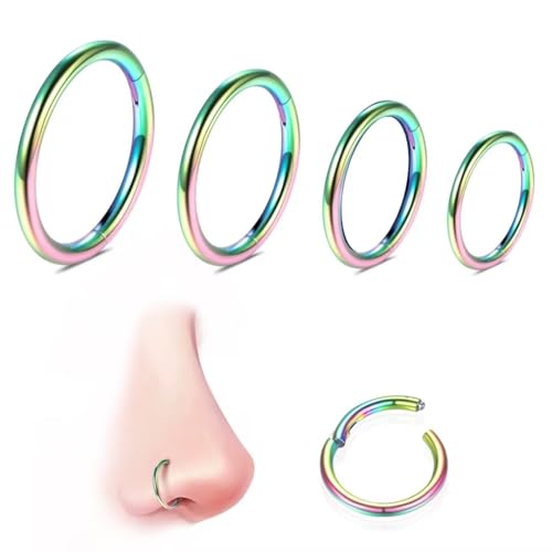WBRWP 316L Stainless-Steel Piercing-Ring Hinged Nose-Rings-Hoop : 20G 18G 16G 14G Womens Body Pierecing Ring Segment Clicker Lip Rings Helix Cartilage Rook Earrings Diameter 6mm 8mm 10mm 12mm - color: 4pc set in rainbow color(each dia. 1 pc)