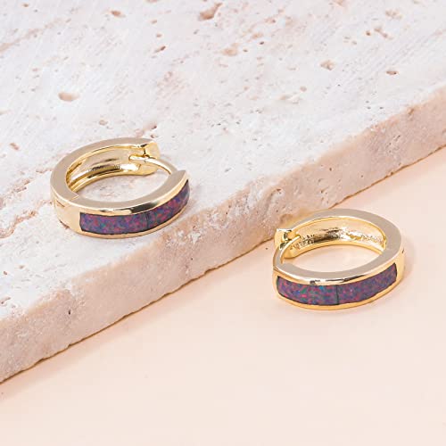 CiNily Huggie Earrings Opal Hinged Hoop Earrings Gold Plated Hypoallergenic Small Hoop Earrings for Women Teen Girls Men Sensitive Ears - color: Rainbow Black