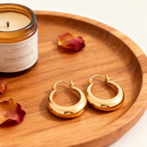 Hoop Earrings for Women 14K Gold Plated Thick Chunky Hoops Hypoallergenic Trendy Dainty Jewelry Gifts - style: Round Hoop