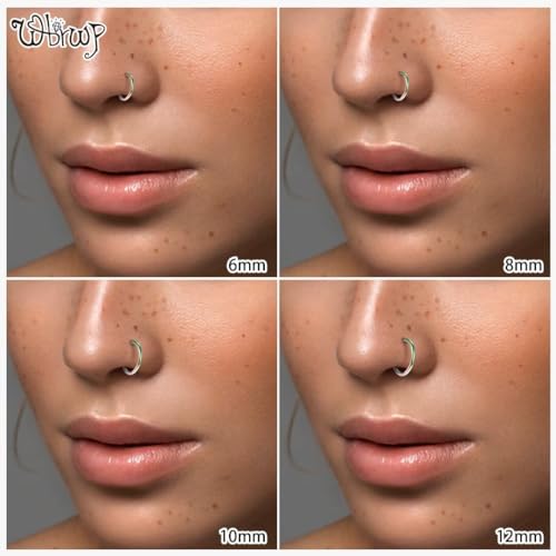 WBRWP 316L Stainless-Steel Piercing-Ring Hinged Nose-Rings-Hoop : 20G 18G 16G 14G Womens Body Pierecing Ring Segment Clicker Lip Rings Helix Cartilage Rook Earrings Diameter 6mm 8mm 10mm 12mm - color: 8pc set in rainbow color(each dia. 2 pc)