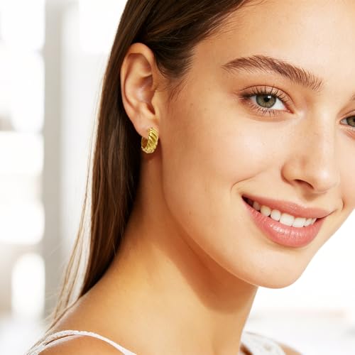 Small Chunky Huggie Hoop Earrings for Women - 18K Gold Plated Boho Ethnic, Hypoallergenic Dainty Vintage Gifts for Women - color: Twisted Rope