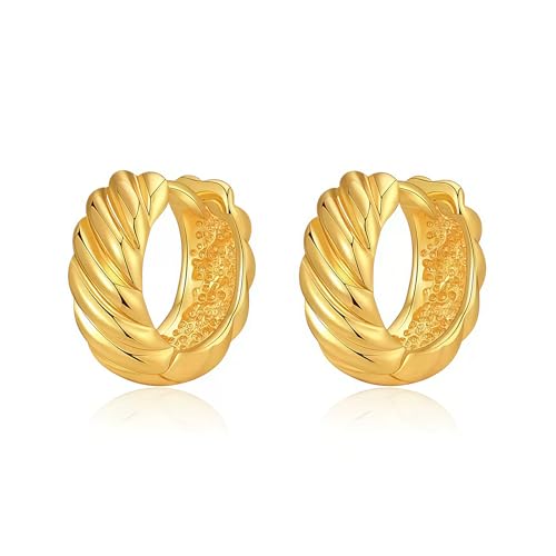 Small Chunky Huggie Hoop Earrings for Women - 18K Gold Plated Boho Ethnic, Hypoallergenic Dainty Vintage Gifts for Women - color: Twisted Rope