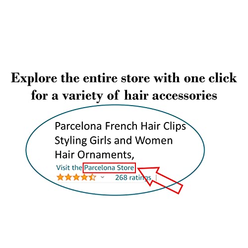 Parcelona French Classic Light Tortoise Shell Large 3” Celluloid Bun Holder Slider Pin Thru Hair Clip with Stick