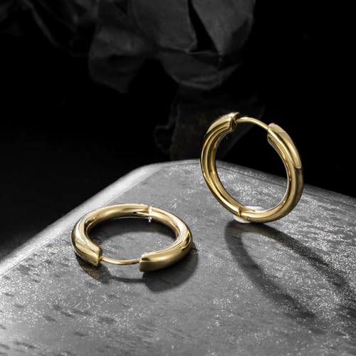 Stainless Steel Hoop Earrings for Women Gold Tone Geometric, Huggie Heart Twisted Minimalist Engraved Designs for Daily Wear - color: Gold_25mm