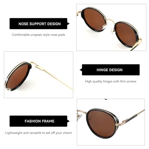 ZENOTTIC Retro Round Polarized Steampunk Sunglasses for Men Women-Circle Vintage Design Metal Frame UV400 Shades - color: C04 Gold Frame Brown Lens