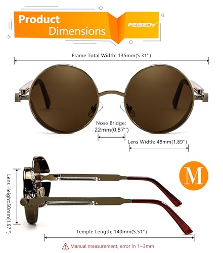 FEISEDY Retro Gothic Steampunk Sunglasses Round Metal Frame Punk Circle Inspired Shade Men B1857 - color: Bronze/Tea