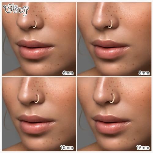 WBRWP 316L Stainless-Steel Piercing-Ring Hinged Nose-Rings-Hoop : 20G 18G 16G 14G Womens Body Pierecing Ring Segment Clicker Lip Rings Helix Cartilage Rook Earrings Diameter 6mm 8mm 10mm 12mm - color: 8pc set in rose gold color(each dia. 2 pc)