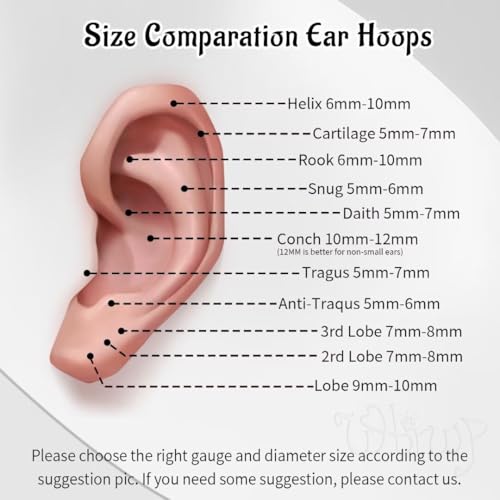 WBRWP 316L Stainless-Steel Piercing-Ring Hinged Nose-Rings-Hoop : 20G 18G 16G 14G Womens Body Pierecing Ring Segment Clicker Lip Rings Helix Cartilage Rook Earrings Diameter 6mm 8mm 10mm 12mm - color: 8pc set in silver color(each dia. 2 pc)