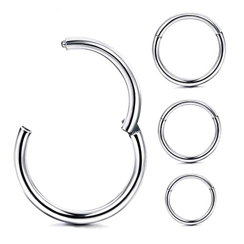 4Pcs 16G 18G 20G Surgical-Steel-Piercing-Ring-Nose-Rings-Hinged-Hoop-Earrings,6mm 8mm 10mm 12mm Seamless Stainless Steel Clicker Eyebrow Septum Piercing Hoop,Sliver Black Gold Rose Gold Rainbow Body Jewelry Set - color: 16G Silver