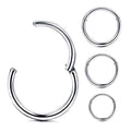 4Pcs 16G 18G 20G Surgical-Steel-Piercing-Ring-Nose-Rings-Hinged-Hoop-Earrings,6mm 8mm 10mm 12mm Seamless Stainless Steel Clicker Eyebrow Septum Piercing Hoop,Sliver Black Gold Rose Gold Rainbow Body Jewelry Set - color: 16G Silver