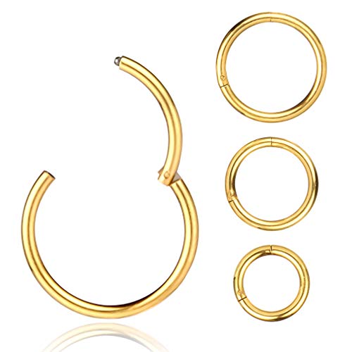 4Pcs 16G 18G 20G Surgical-Steel-Piercing-Ring-Nose-Rings-Hinged-Hoop-Earrings,6mm 8mm 10mm 12mm Seamless Stainless Steel Clicker Eyebrow Septum Piercing Hoop,Sliver Black Gold Rose Gold Rainbow Body Jewelry Set - color: 16G Gold