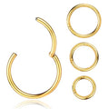 4Pcs 16G 18G 20G Surgical-Steel-Piercing-Ring-Nose-Rings-Hinged-Hoop-Earrings,6mm 8mm 10mm 12mm Seamless Stainless Steel Clicker Eyebrow Septum Piercing Hoop,Sliver Black Gold Rose Gold Rainbow Body Jewelry Set - color: 16G Gold