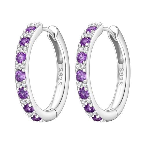 Earrings for Women 925 Sterling Silver Hoop Earring Colorful Cute Fashion Hoop Earrings Graduation Birthday Jewelry Gifts for Women - color: Purple Interspersed Stone Earrings