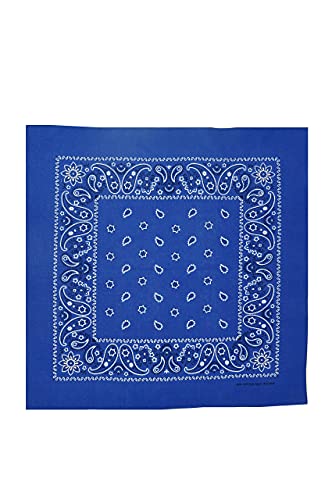 Vamqor 12pcs Bandana for women and men 100% Cotton Custom Fashion Paisley Design Multifunctional Outdoor Square Handkerchief - color: 12 Pack Assorted