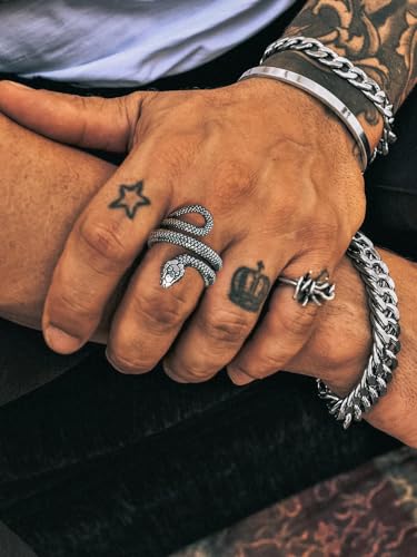 Stainless Steel/18K Gold Plated/Black Snake Ring for Men Women Size 7-12 Serpent Reptile Rings Punk Gothic Jewelry(with Gift Box) - color: 04-Steel-Personalized