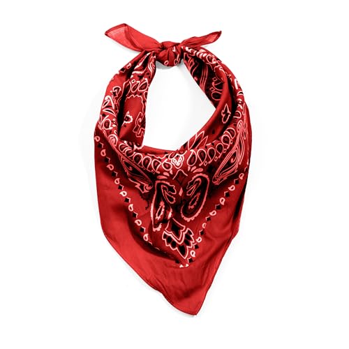 Rothco Trainmen Paisley Bandana - Standard - 22" X 22" - color: Red/White
