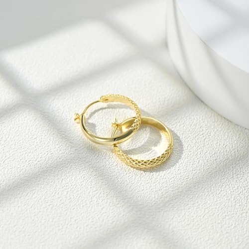 14K Gold Hoop Earrings, Gold Hoop Earrings for Women Trendy, Dainty Gold Vermeil Earrings Hoops, 14K Gold Plated 925 Sterling Silver, 25mm