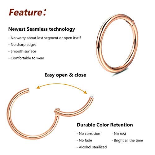 4Pcs 16G 18G 20G Surgical-Steel-Piercing-Ring-Nose-Rings-Hinged-Hoop-Earrings,6mm 8mm 10mm 12mm Seamless Stainless Steel Clicker Eyebrow Septum Piercing Hoop,Sliver Black Gold Rose Gold Rainbow Body Jewelry Set - color: 16G Rose Gold