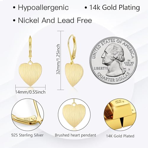 14K Gold Dangle Earrings for Women，Lightweight Circle Disc Coin Geometric Flat Brushed Drop Earrings, Hypoallergenic Leverback Earrings Jewelry - color: D-14K Gold