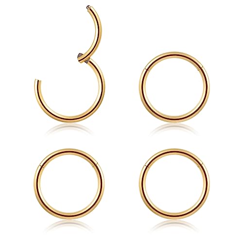 4Pcs 16G 18G 20G Surgical-Steel-Piercing-Ring-Nose-Rings-Hinged-Hoop-Earrings,6mm 8mm 10mm 12mm Seamless Stainless Steel Clicker Eyebrow Septum Piercing Hoop,Sliver Black Gold Rose Gold Rainbow Body Jewelry Set - color: 18G 8mm Gold