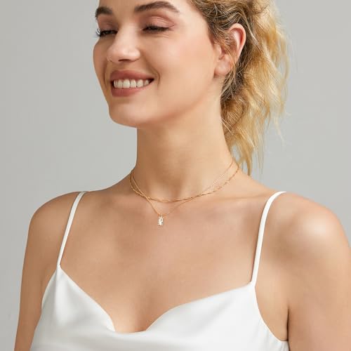 Luxval Diamond Pendant Gold Necklace for Women，Dainty 18k Gold Plated Choker Necklaces Simple Gold Jewelry Gifts for Women Girls - color: Gold-Birthstone Layered