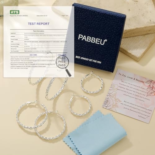 PABBEU Sterling Silver Hoop Earrings,Hypoallergenic Twisted Silver Hoops Earrings for Women Lightweight SilverHoop Earring with Cubic Zirconia (15/20/25/30MM) - color: Silver 2