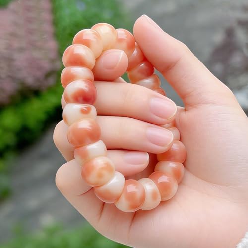 Fidget Bracelet Natural Bodhi Seeds Beaded Bracelets Zen Fidget Stretch Bracelets Alleviate Anxiety Stress Protection Healing Bodhi Jewelry Gifts for Women Men - color: C1:Fidget Bracelet