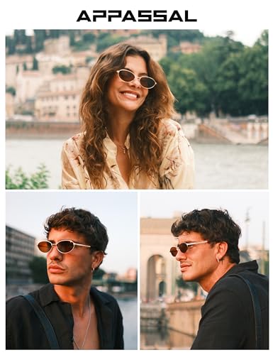 Appassal Retro Oval Sunglasses for Women Mens with Spring Hinge Sunnies AP3696 - color: C6 Gold / Brown