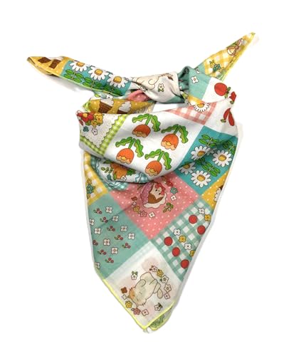 Shanlin Unisex Floral Cotton Square Scarf Bandanas 22x22 inch - color: Fairytales