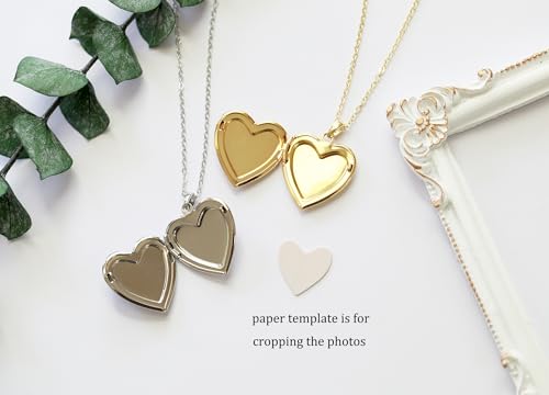 Handmade Dried Pressed Flower Heart Shaped Photo Locket Pendant Necklace - color: Gold, style: Blue Flower on White