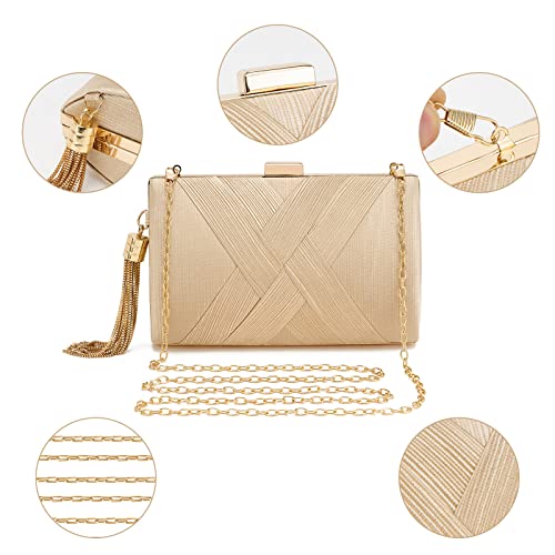 Women Clutch Bag Evening bag Fringed Evening Handbag,Lady Party Wedding Clutch Purse Chain Shoulder Cross Body Bag - color: Champagne