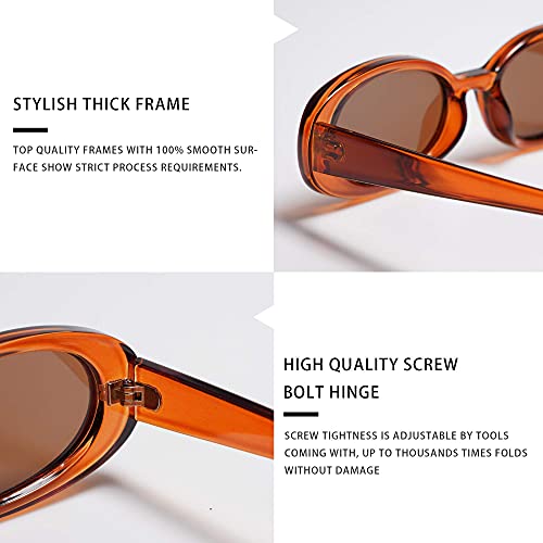 VANLINKER Polarized Retro Oval Sunglasses for Women and Men Small 90s Style VL9580 - color: C3 Brown Tinted Frame/Lens