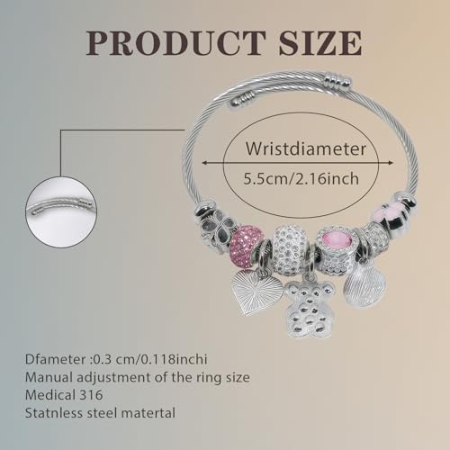 Silver Women Bracelets - Adjustable Charm Bracelets for Women Birthday Gifts Favors Titanium Steel Bracelet Bundle Jewelry Kit - color: D: Butterfly - Pink