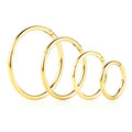 4Pcs 16G 18G 20G Surgical-Steel-Piercing-Ring-Nose-Rings-Hinged-Hoop-Earrings,6mm 8mm 10mm 12mm Seamless Stainless Steel Clicker Eyebrow Septum Piercing Hoop,Sliver Black Gold Rose Gold Rainbow Body Jewelry Set - color: 18G Gold