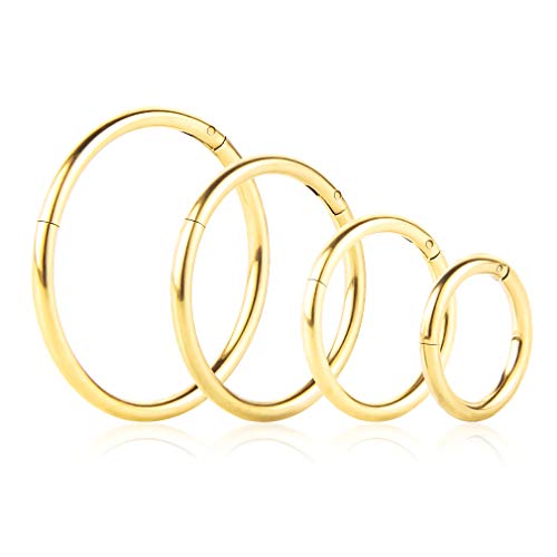 4Pcs 16G 18G 20G Surgical-Steel-Piercing-Ring-Nose-Rings-Hinged-Hoop-Earrings,6mm 8mm 10mm 12mm Seamless Stainless Steel Clicker Eyebrow Septum Piercing Hoop,Sliver Black Gold Rose Gold Rainbow Body Jewelry Set - color: 18G Gold