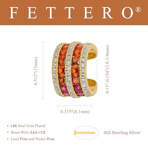 FETTERO Ear Cuff Earrings for Women Non Piercing 14K Gold Plated Ear Cuffs for Non Pierced Ears Clip on Cartilage Earring Ligthweight Fake Earrings | Single - style: 2Lines