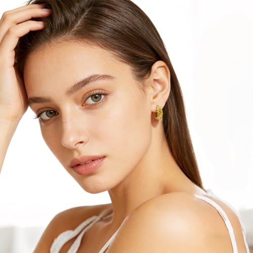 Small Chunky Huggie Hoop Earrings for Women - 18K Gold Plated Boho Ethnic, Hypoallergenic Dainty Vintage Gifts for Women - color: Twisted Rope
