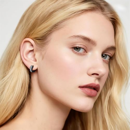 Black Viking Hoop Earrings for Men: Nordic Runes Huggie Earrings with CZ Stone Punk Jewelry Gift-Style B