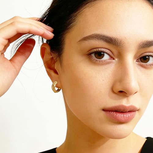 Small Chunky Huggie Hoop Earrings for Women - 18K Gold Plated Boho Ethnic, Hypoallergenic Dainty Vintage Gifts for Women - color: Starburst Pattern