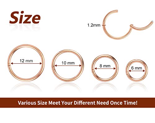 4Pcs 16G 18G 20G Surgical-Steel-Piercing-Ring-Nose-Rings-Hinged-Hoop-Earrings,6mm 8mm 10mm 12mm Seamless Stainless Steel Clicker Eyebrow Septum Piercing Hoop,Sliver Black Gold Rose Gold Rainbow Body Jewelry Set - color: 16G Rose Gold