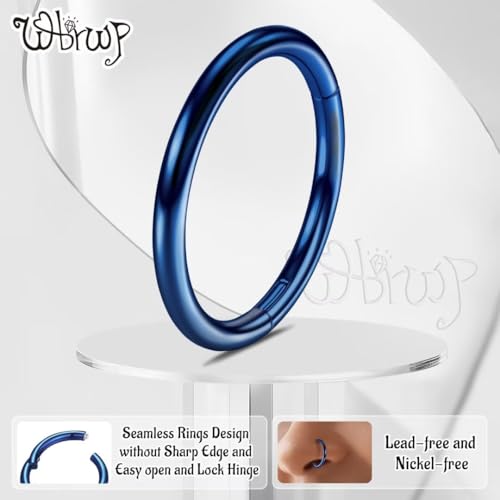 WBRWP 316L Stainless-Steel Piercing-Ring Hinged Nose-Rings-Hoop : 20G 18G 16G 14G Womens Body Pierecing Ring Segment Clicker Lip Rings Helix Cartilage Rook Earrings Diameter 6mm 8mm 10mm 12mm - color: 8pc set in blue color(each dia. 2 pc)