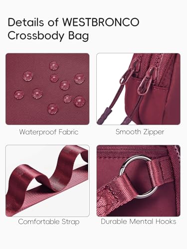 WESTBRONCO Small Crossbody Bags for Women Nylon with Adjustable Strap, Zipper Crossbody Purse, 1L Shoulder Bag for Travel - color: Wine Red