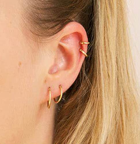 MODRSA Fake Nose Stud Fake Nose Ring Stud Fake Nose Piercing Fake Lip Ring Fake Earrings Stud Silver Gold Fake Cartilage Helix Earring Clip on Earring Hoop Fake Eyebrow Ring Fake Bridge Piercing - color: C1-hoops- silver gold