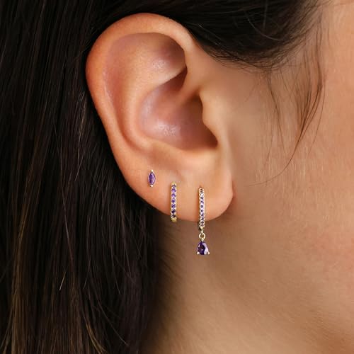 14K Gold Plated Small Huggie Hoop Earrings Set for Women, Hypoallergenic Dainty Sterling Silver Dangle Studs for Cartilage Helix, Lightweight Trendy Cute Stack Birthstone Jewelry Gift - color: 02_Amethyst_Feb_Gold