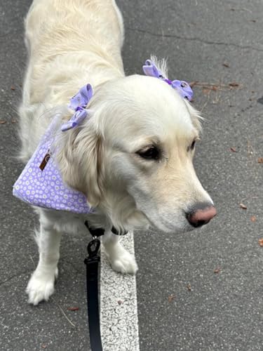 Lionet Paws Spring Daisy Dog Bandana Washable Cotton Handkerchief Scarf Triangle Purple Bandana for Small Medium Large Dogs Girl Boy - color: Purple Daisy, size: Large (Pack of 1)