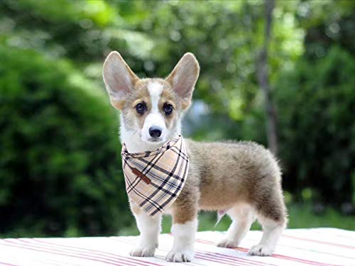Lionet Paws Dog Bandana Washable Cotton Handkerchief Scarf Triangle Bandana for Small Medium Large Dogs Grey - color: Grey, size: Small (Pack of 1)